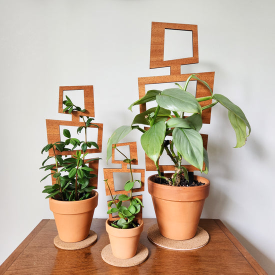 Indoor plant trellis in mid-century modern style. Size is designed for small potted, climbing houseplants.