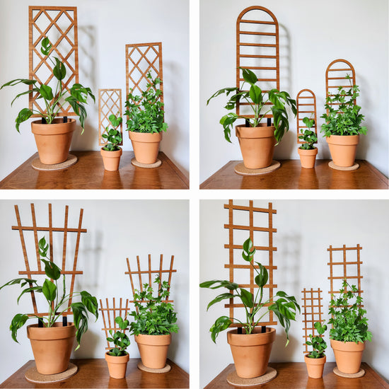 Traditional Garden Style Indoor Houseplant Trellis - Bundle of 4