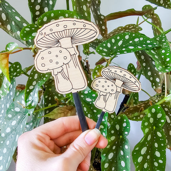 Amanita mushroom wooden houseplant accessory stake to decorate pots of indoor plants.
