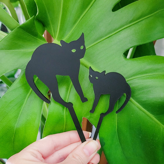 Black cat indoor plant accessories - decoration for houseplant pots.
