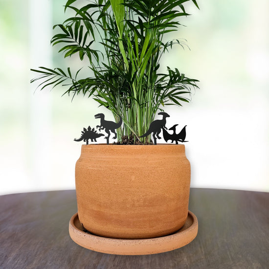 Dinosaur Indoor Plant Accessories (4 Styles)