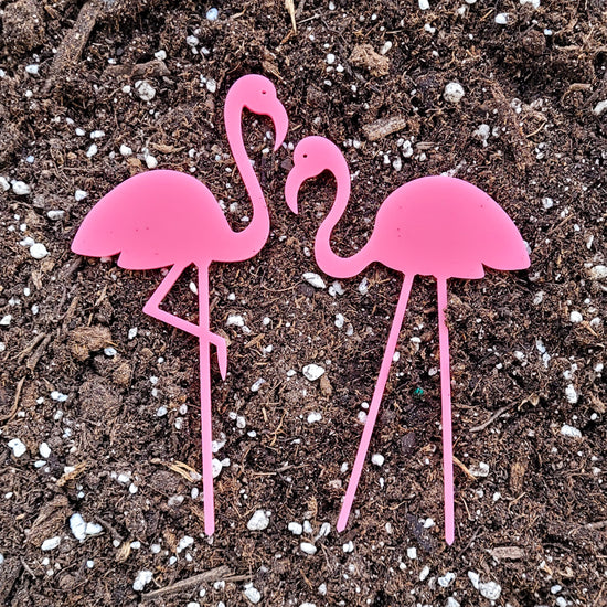 Pink flamingo mini indoor plant accessories - decoration for small houseplants.