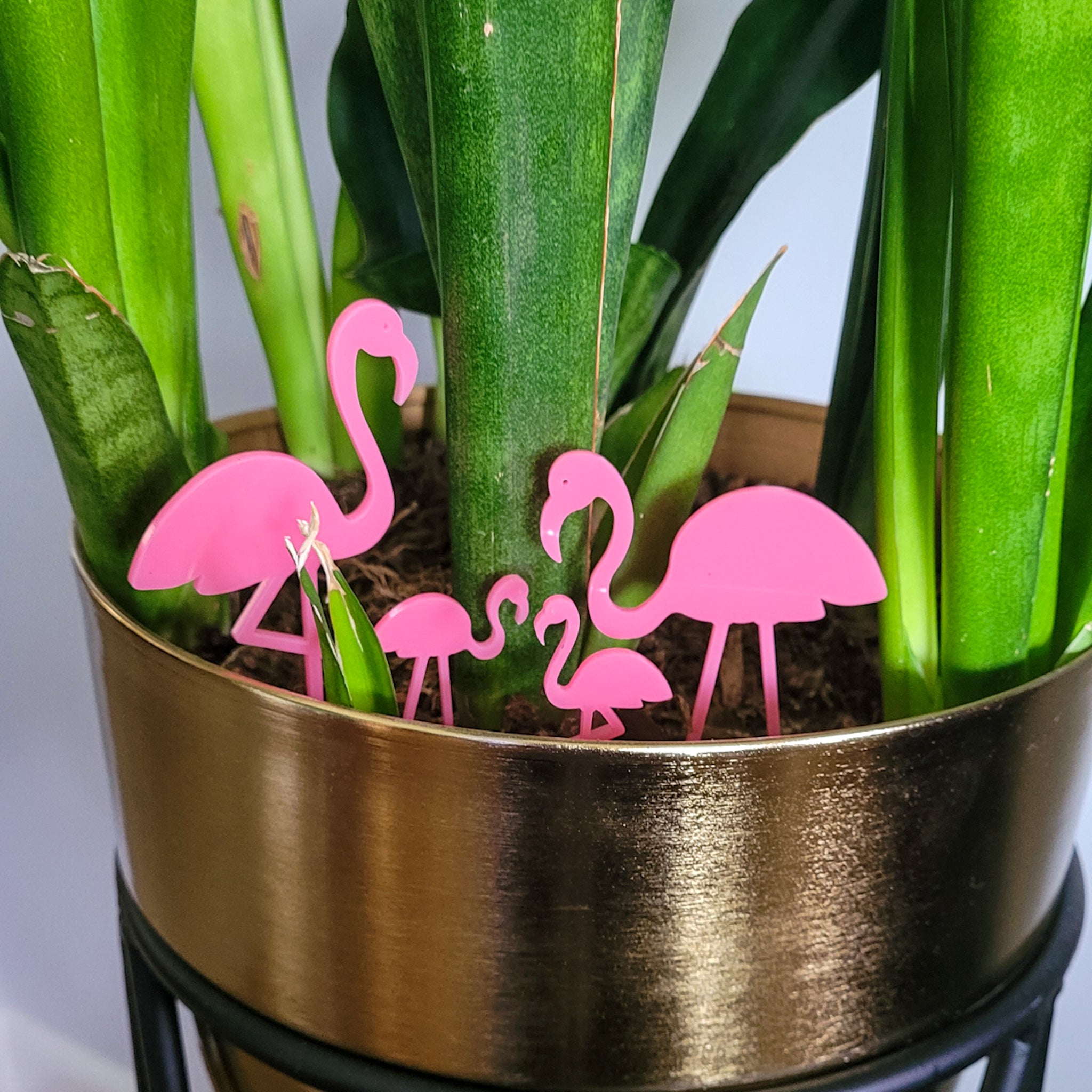flamingo air plant holder Pink Flamingo Indoor Plant Accessory Stake