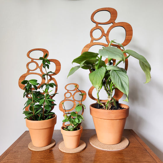 Indoor plant trellis in mid-century modern style. Size is designed for small potted, climbing houseplants.