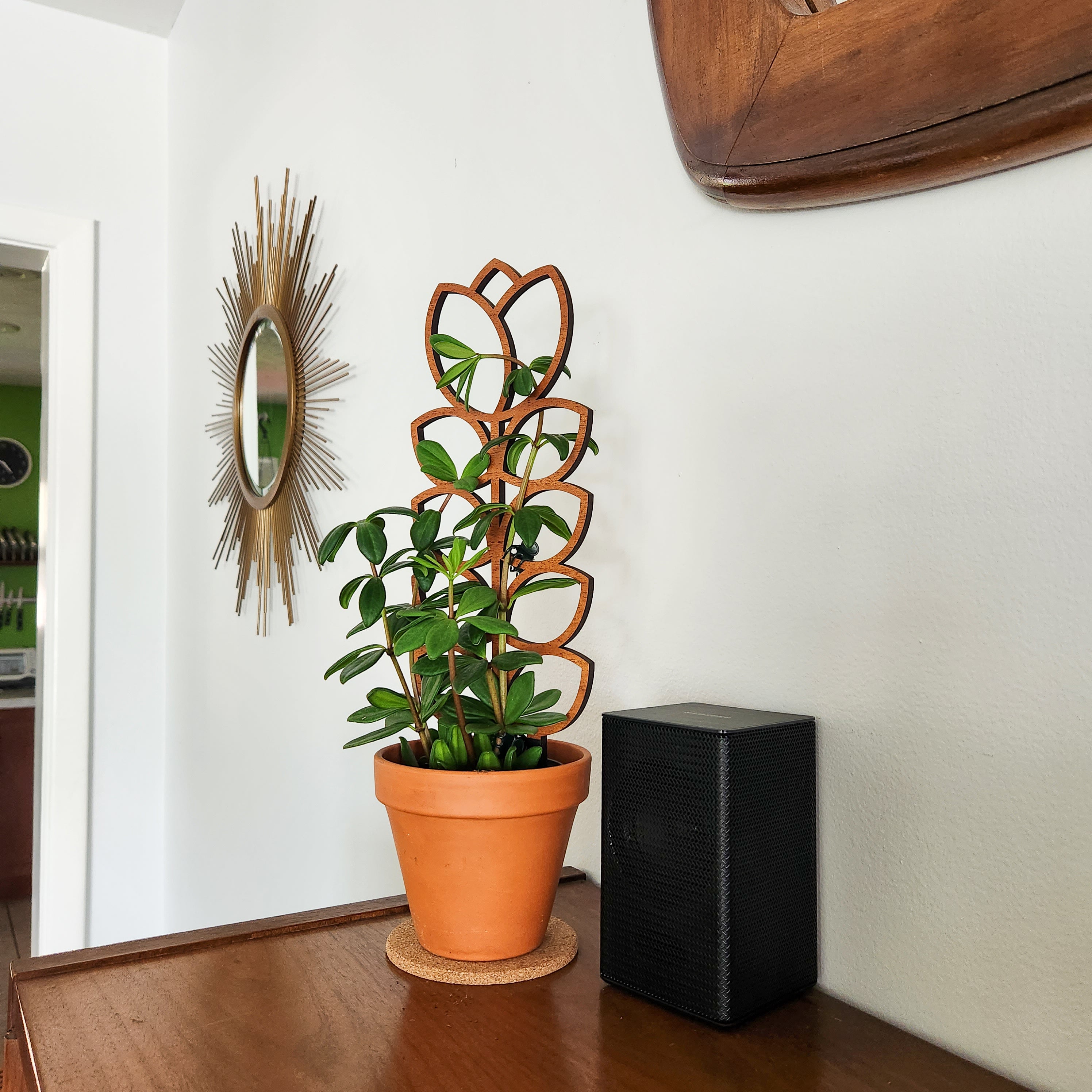 is tulip an indoor plant Indoor Plant Trellis – Mid Century Modern Design – Plant Décor & Gifts