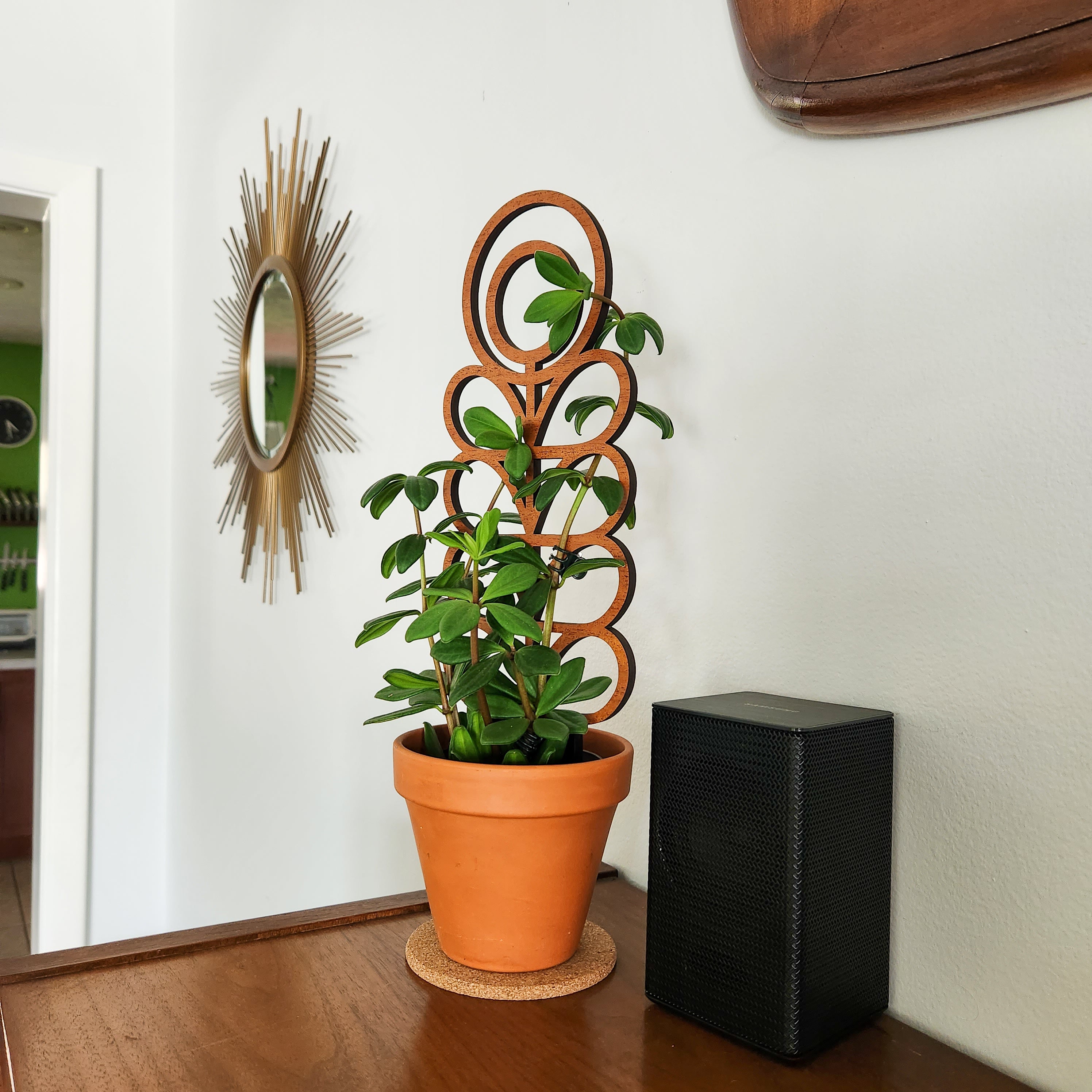 woodie's indoor plants Indoor Plant Trellis – Mid Century Modern Design – Plant Décor & Gifts Standard (best for 4-5 inch pots)