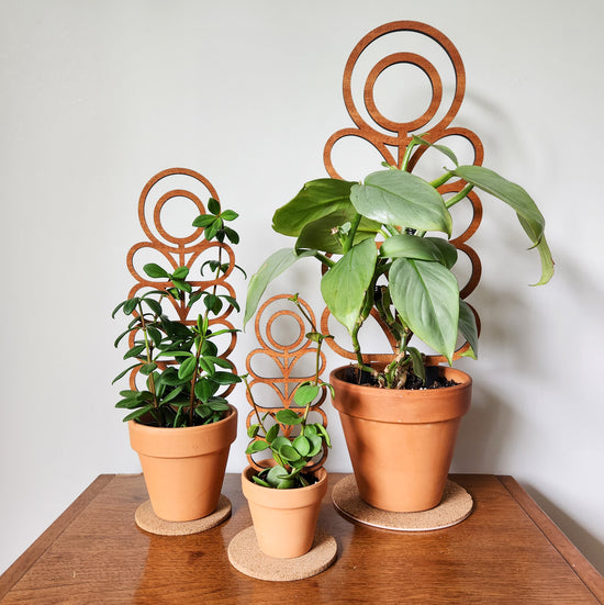 MCM Zinnia Indoor Houseplant Trellis (Wood)