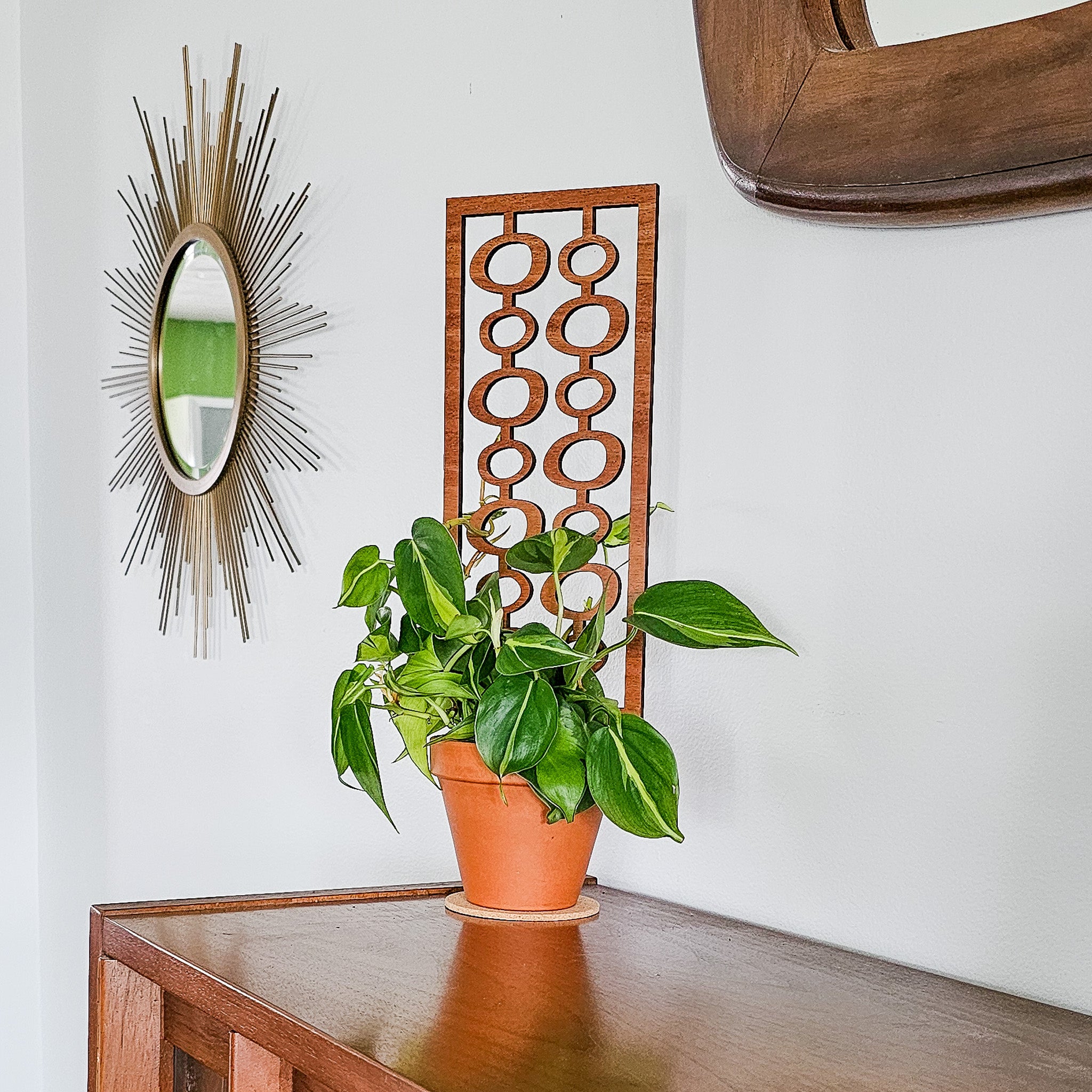20+ Indoor Plant Trellis Indoor Plant Trellis – Mid Century Modern Design – Plant Gifts & Decor
