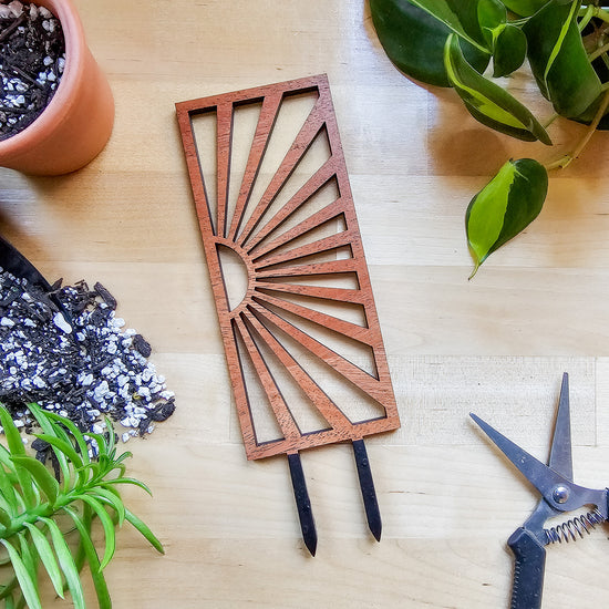 Modern indoor plant trellises for small houseplants in 2-6 inch pots..