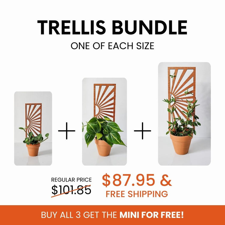 Bundle discount on set of indoor plant trellises for 2-6 inch indoor planters for houseplants.