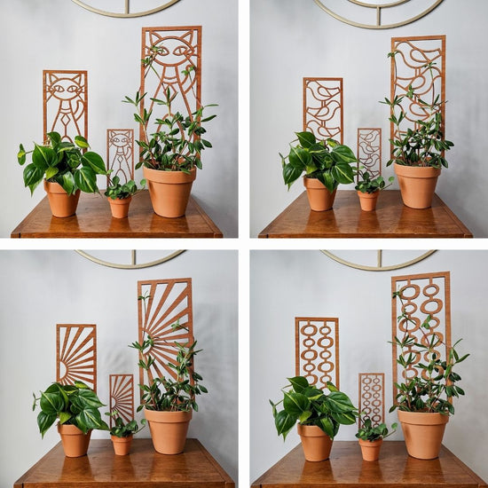 MCM Indoor Houseplant Trellis - Bundle of 4