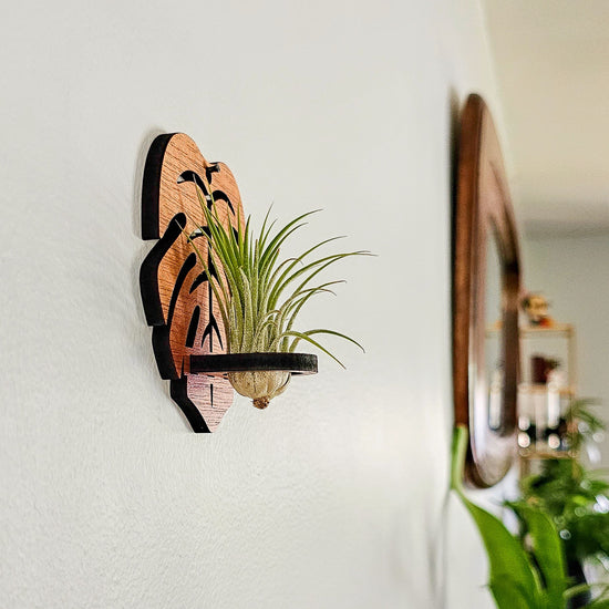 Wood air plant holder display - monstera leaf shaped air plant wall hanger.