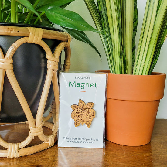Handcrafted magnet featuring a pothos or heartleaf philodendron plant engraved in cherry wood in product packaging sitting on an end table with two houseplants.
