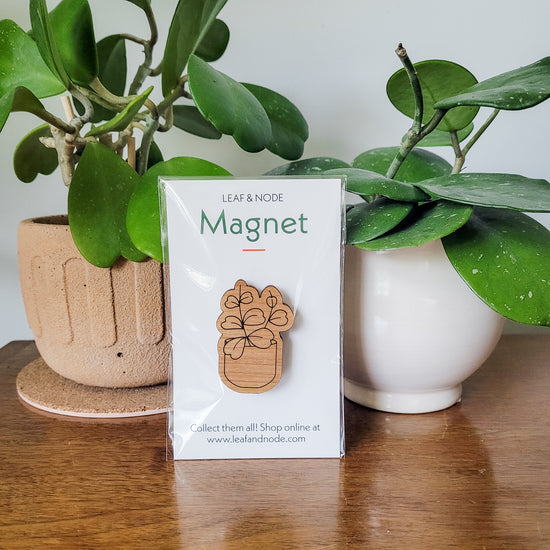 Handcrafted magnet featuring a hoya kerrii engraved in cherry wood in product packaging sitting on an end table with two houseplants.