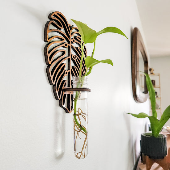 Monstera Leaf Wall Propagation Station - Test Tube Holder