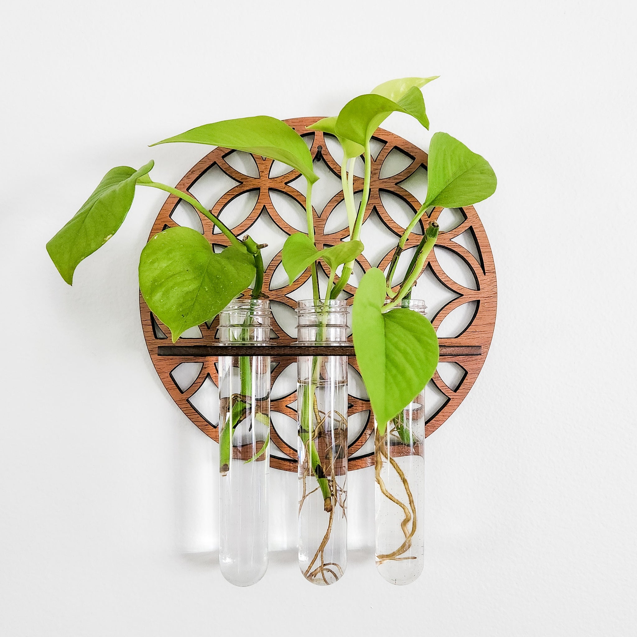 aqueduct for hanging plants Wall Hanging Propagation Station