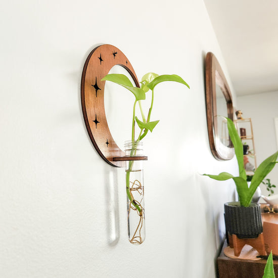 Crescent Moon & Stars Wall Propagation Station - Test Tube Holder