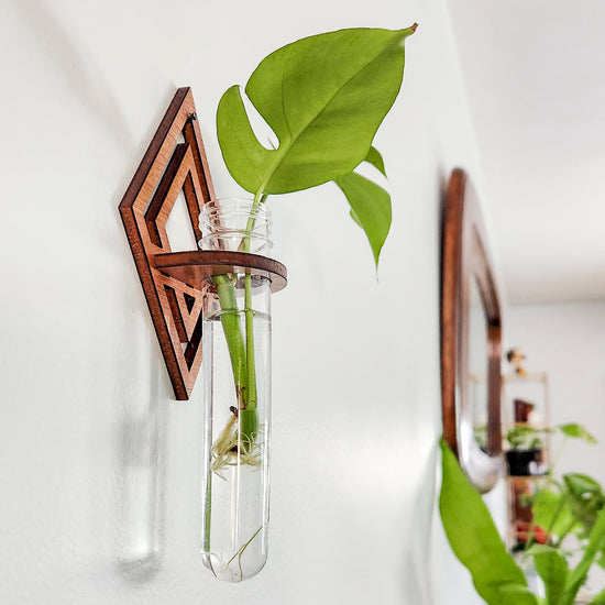 Diamond Wall Propagation Station - Test Tube Holder