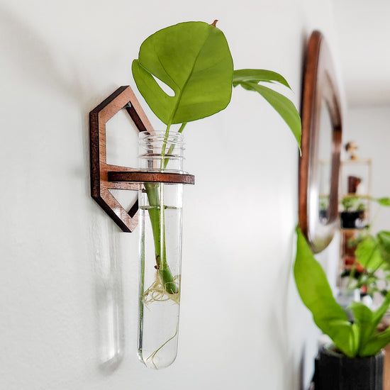 Hexagon Cutout Wall Propagation Station - Test Tube Planter