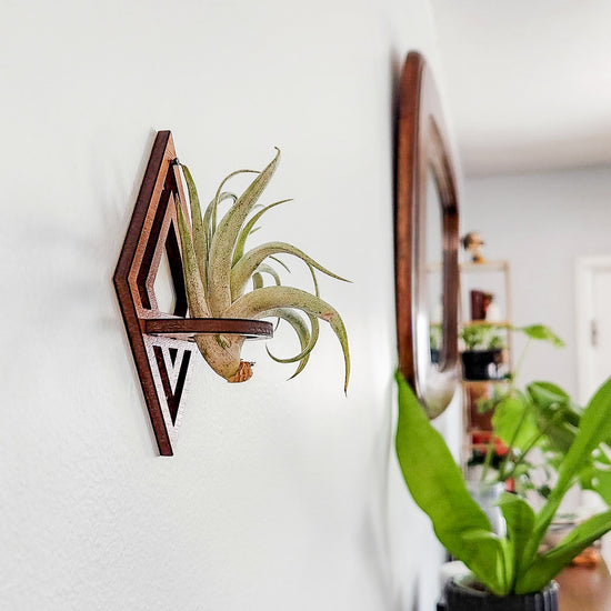 Diamond Air Plant Holder - Wall Hanger