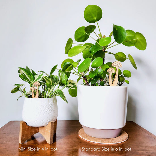 Mushroom Pair Indoor Plant Accessory - Stake Decoration