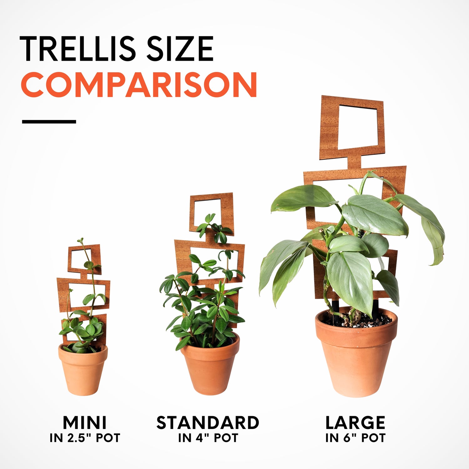 indoor plant dimensions MCM Rectangles Indoor Houseplant Trellis (Wood)