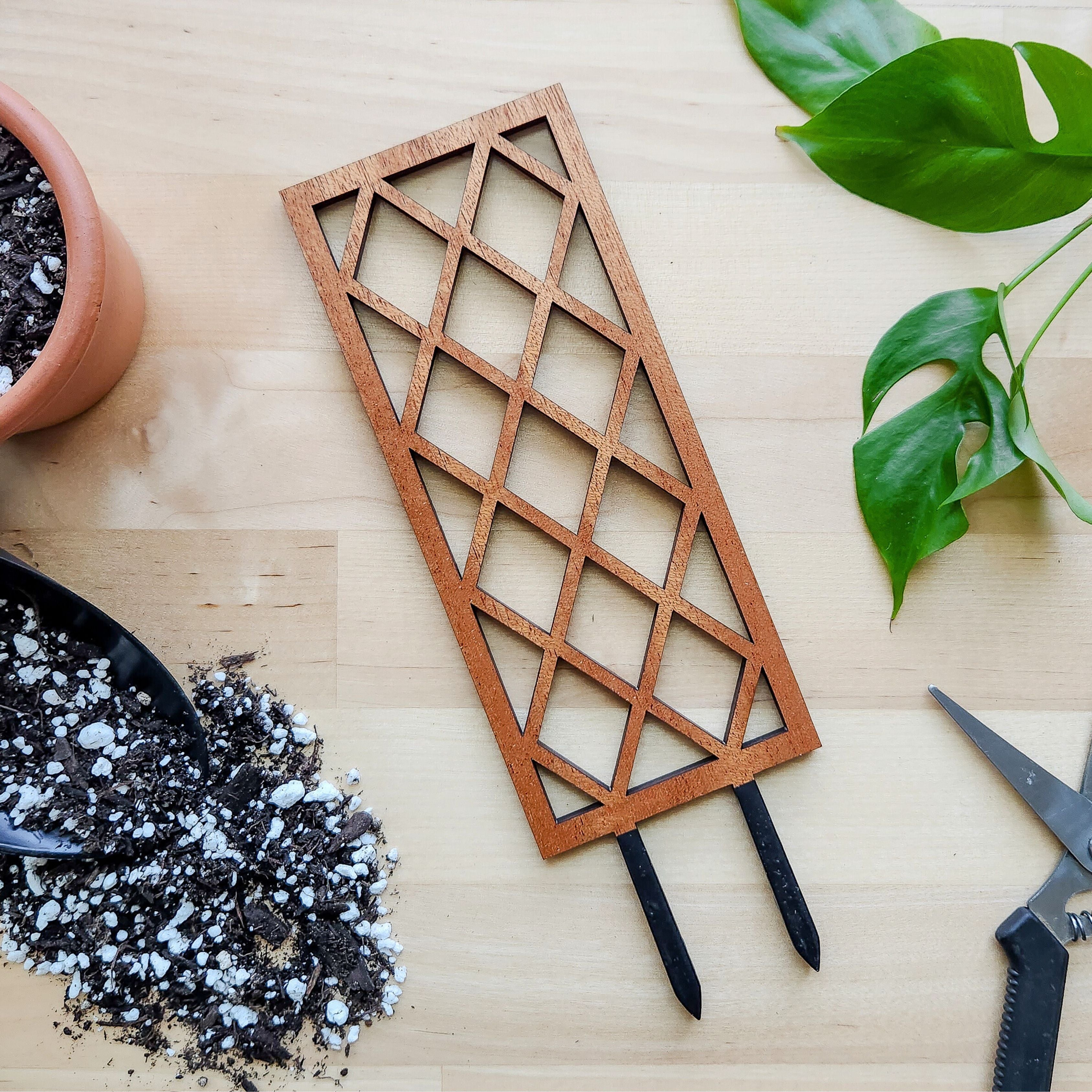 lattice for indoor plants Indoor Plant Trellis – Lattice Garden Design – Plant Décor & Gift Shop Mini (best for 2-3 inch pots)