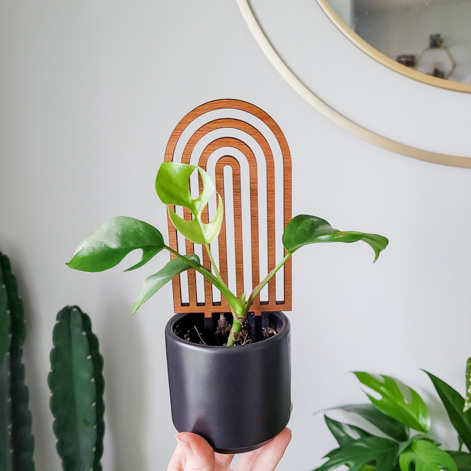 boho plants indoors Indoor Plant Trellis – Modern Boho Rainbow – Plant Décor & Gift Shop – Leaf & Node