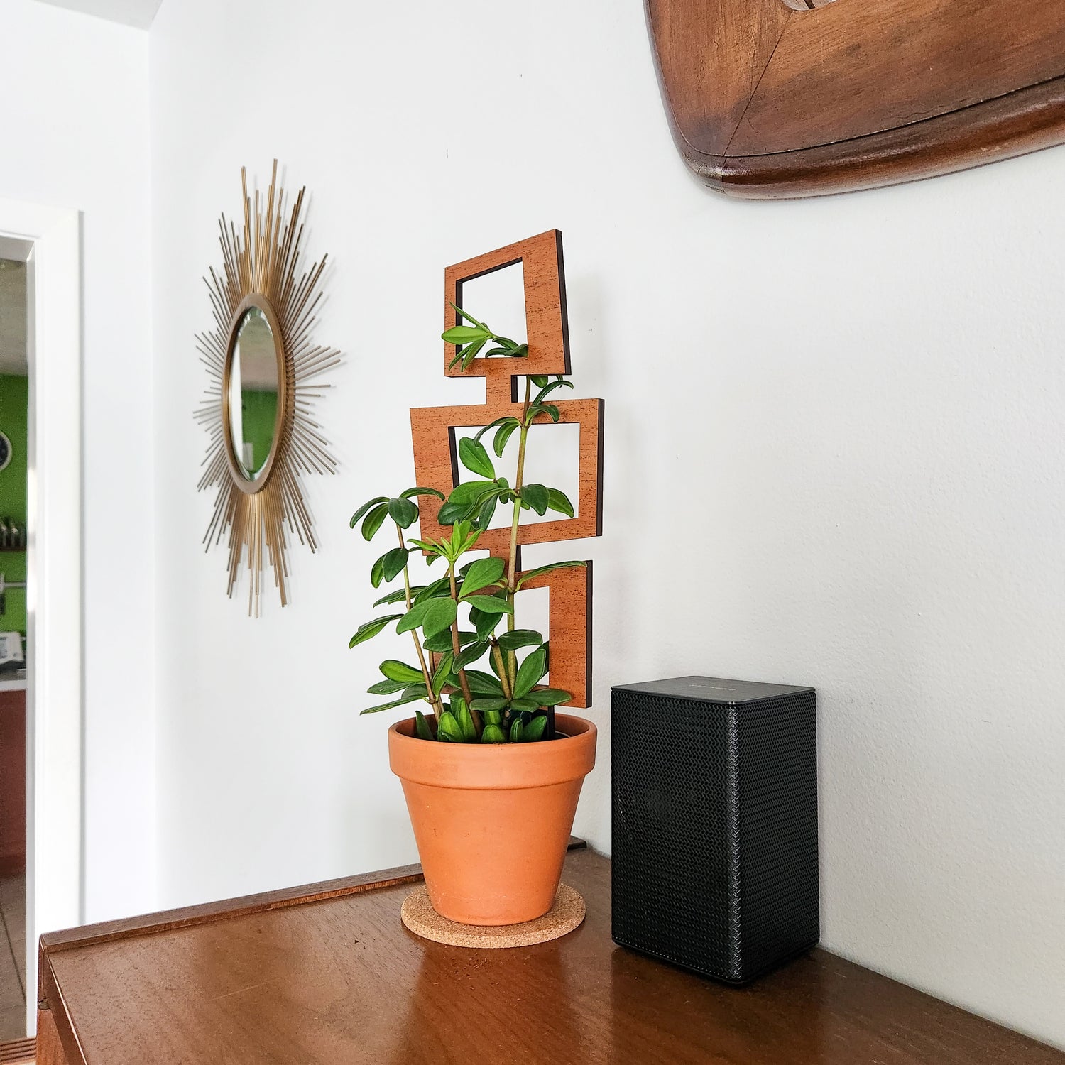 tall indoor plant trellis MCM Rectangles Indoor Houseplant Trellis (Wood)