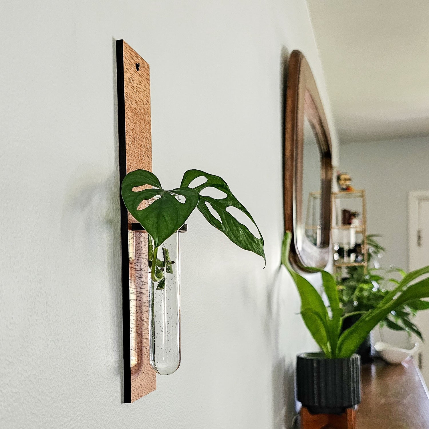 wall hanging plant propagation Wall Hanging Propagation Station