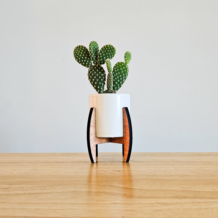 mid century modern plant pot and stand Mini Wood Indoor Plant Stand with Ceramic Pot
