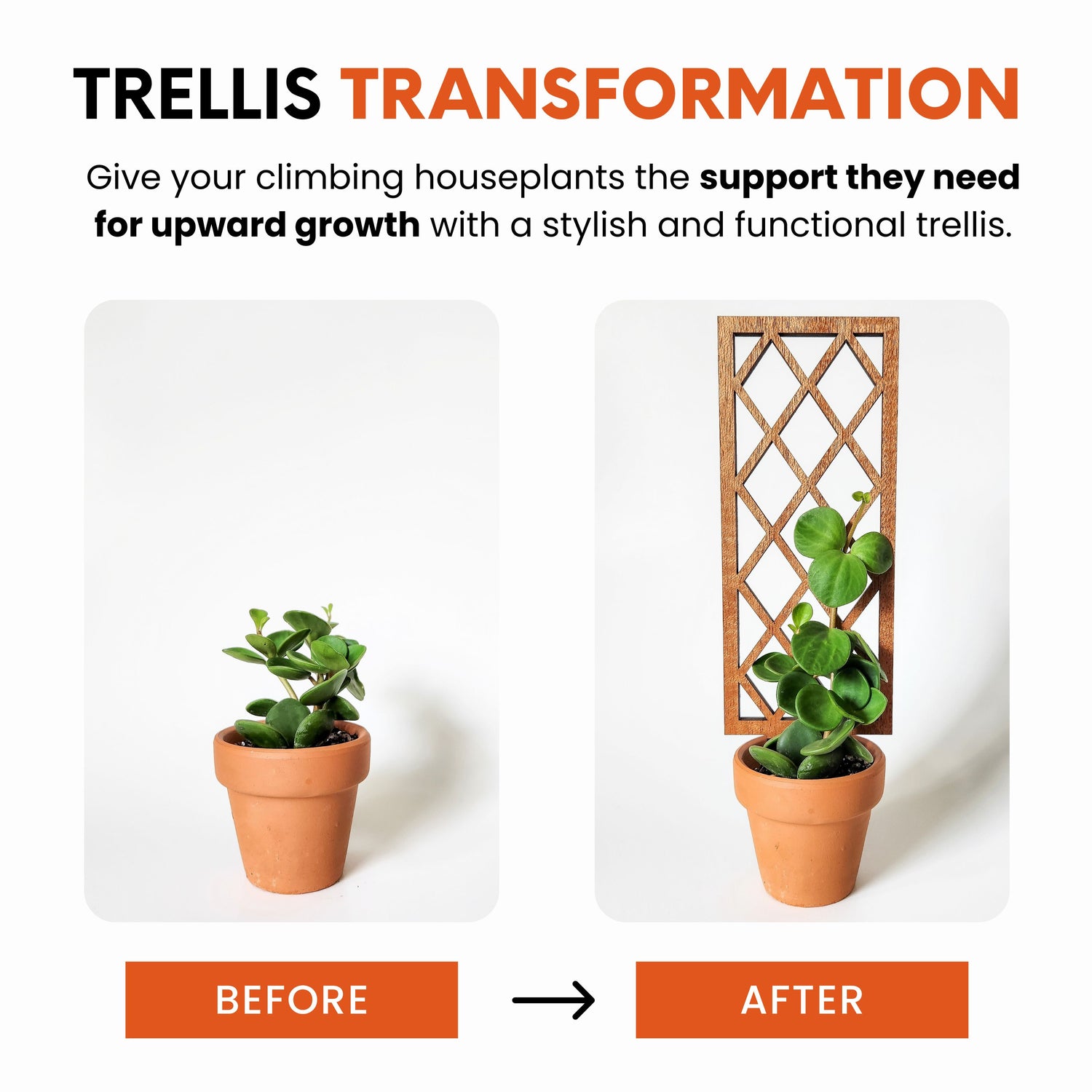 indoor plant lattice Lattice Indoor Houseplant Trellis (Wood)