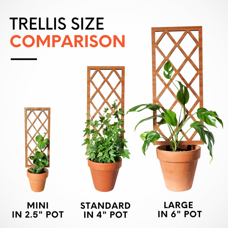 indoor lattice wall plants Indoor Plant Trellis – Lattice Garden Design – Plant Décor & Gift Shop – Leaf & Node