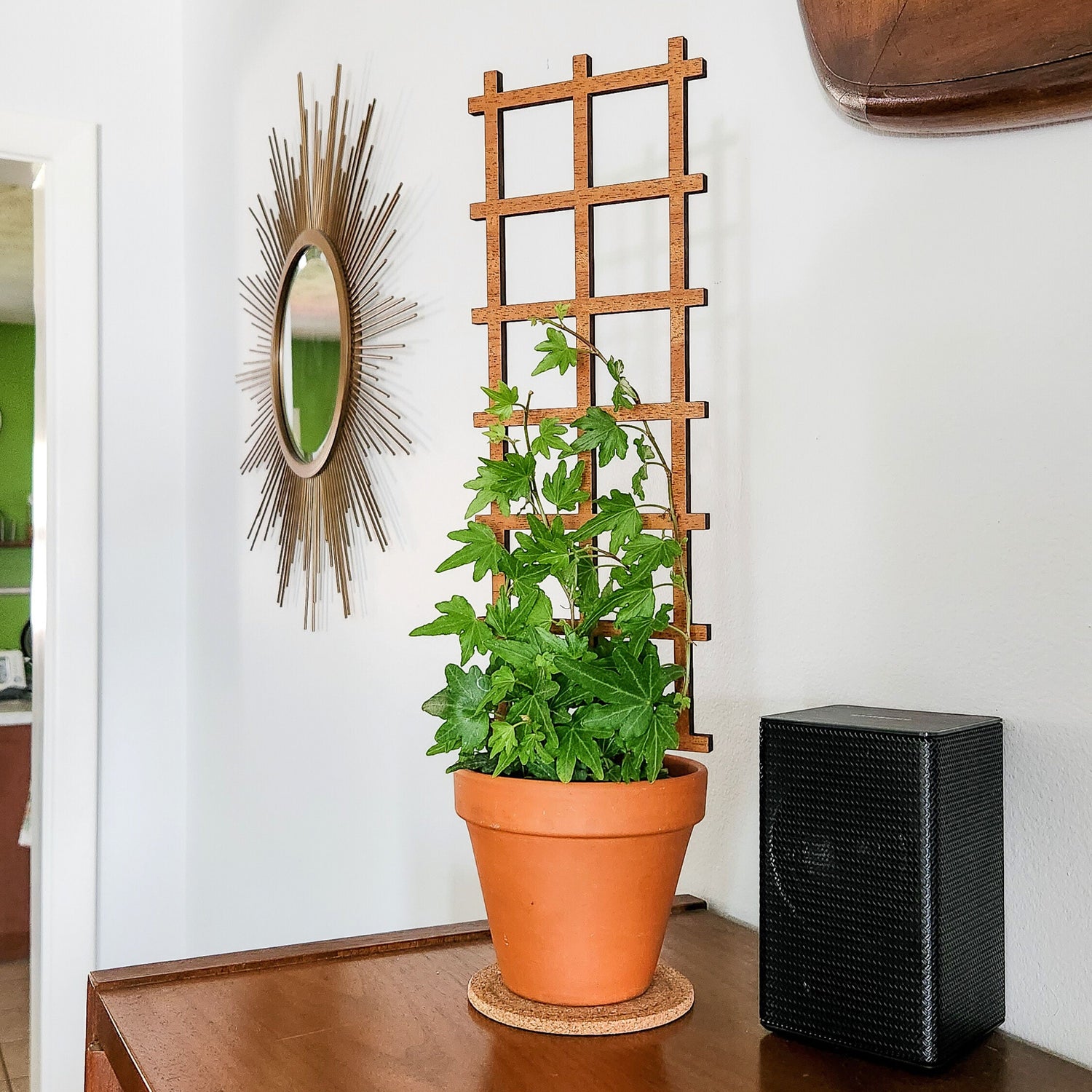 plant vine holder indoor Ladder Indoor Houseplant Trellis (Wood)