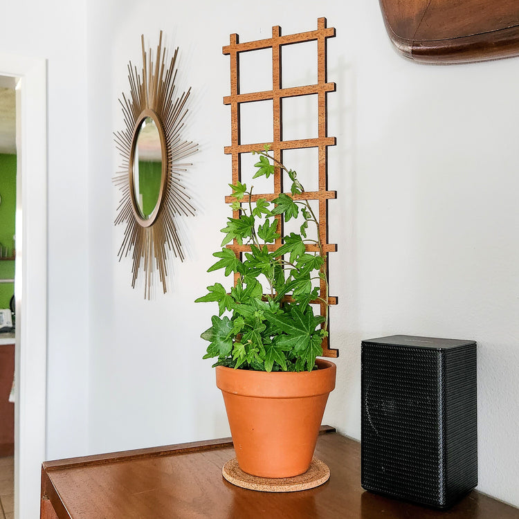 Indoor houseplant trellis in clay pot with an ivy plant.