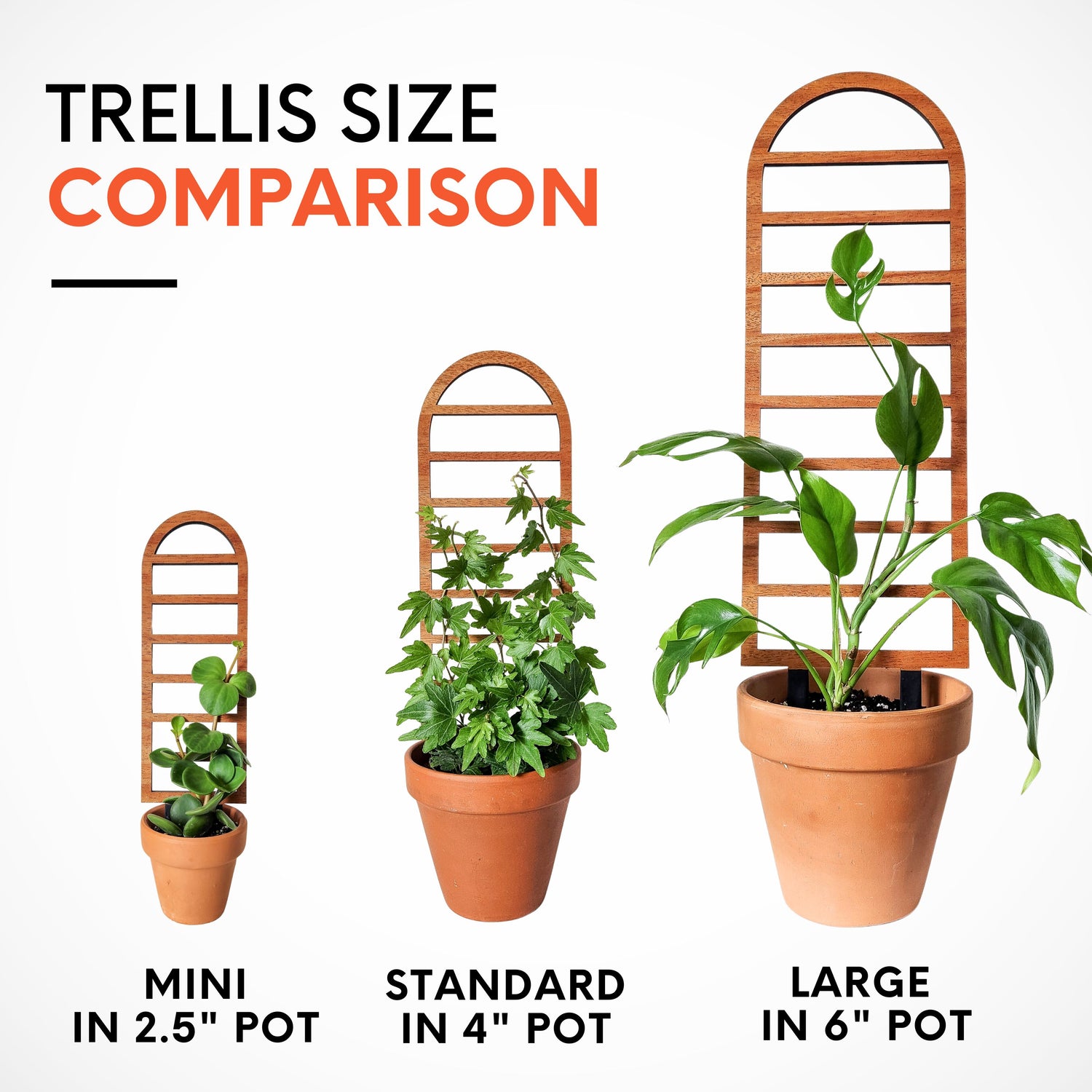 creeper plants for pots Indoor Plant Trellis – Ladder Style Arch – Plant Décor & Gift Shop – Leaf & Node