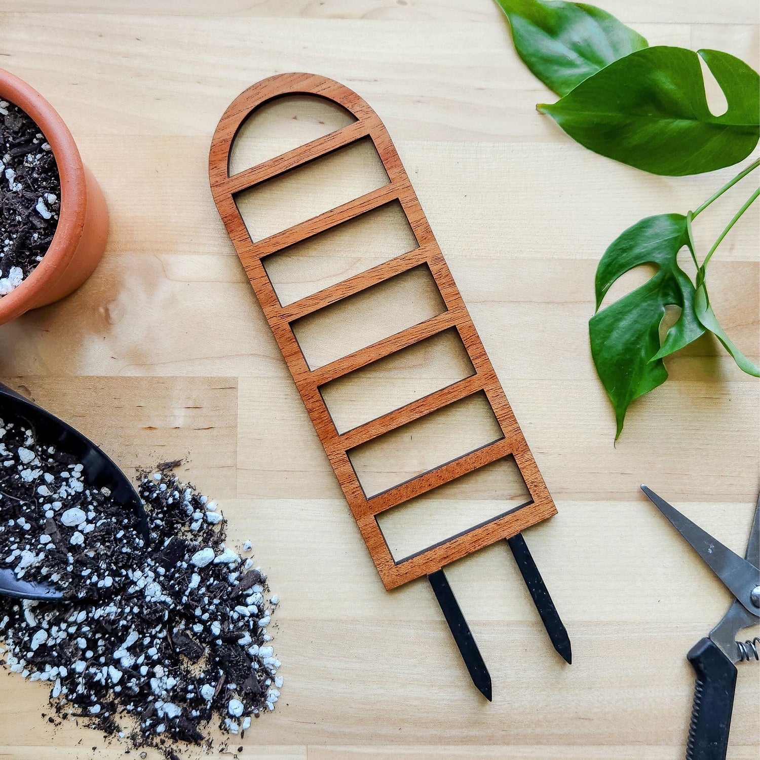 Wooden indoor houseplant trellis.