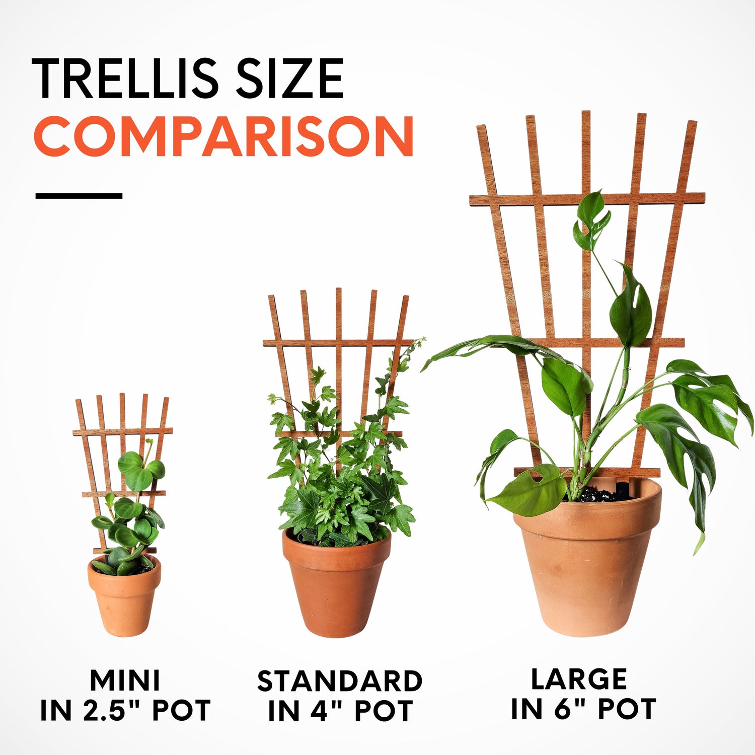best plant trellis Garden Style Indoor Houseplant Trellis (Wood)