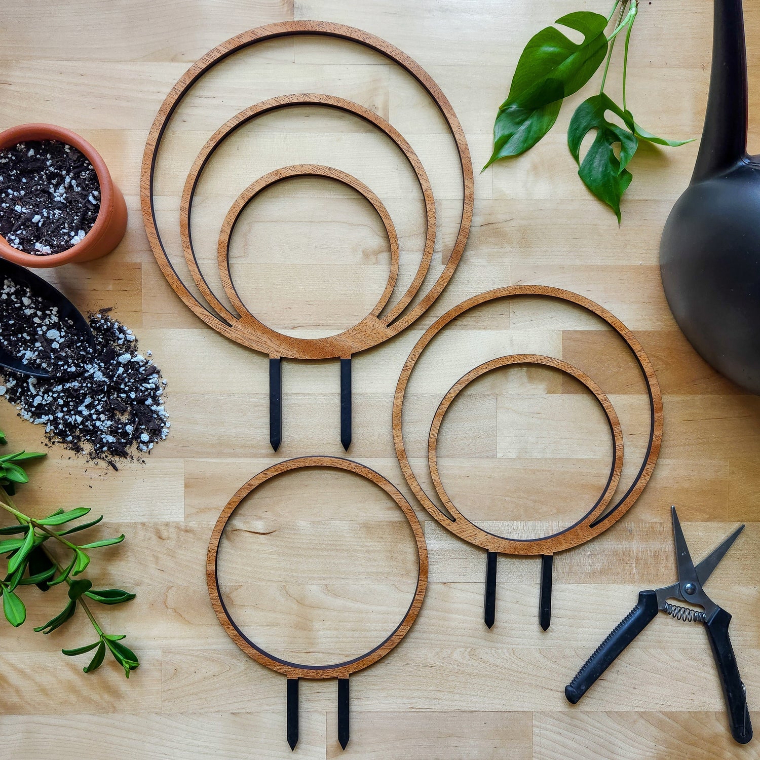 wall trellis for climbing plants indoor Bundle of 3 Round Circle Indoor Plant Trellis