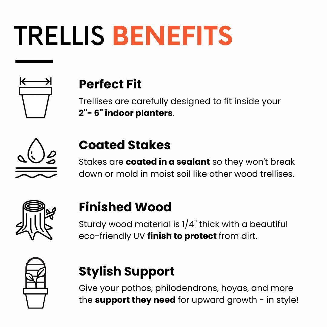 List of trellis benefits: perfect fit, coated stakes, finished wood, and stylish support.