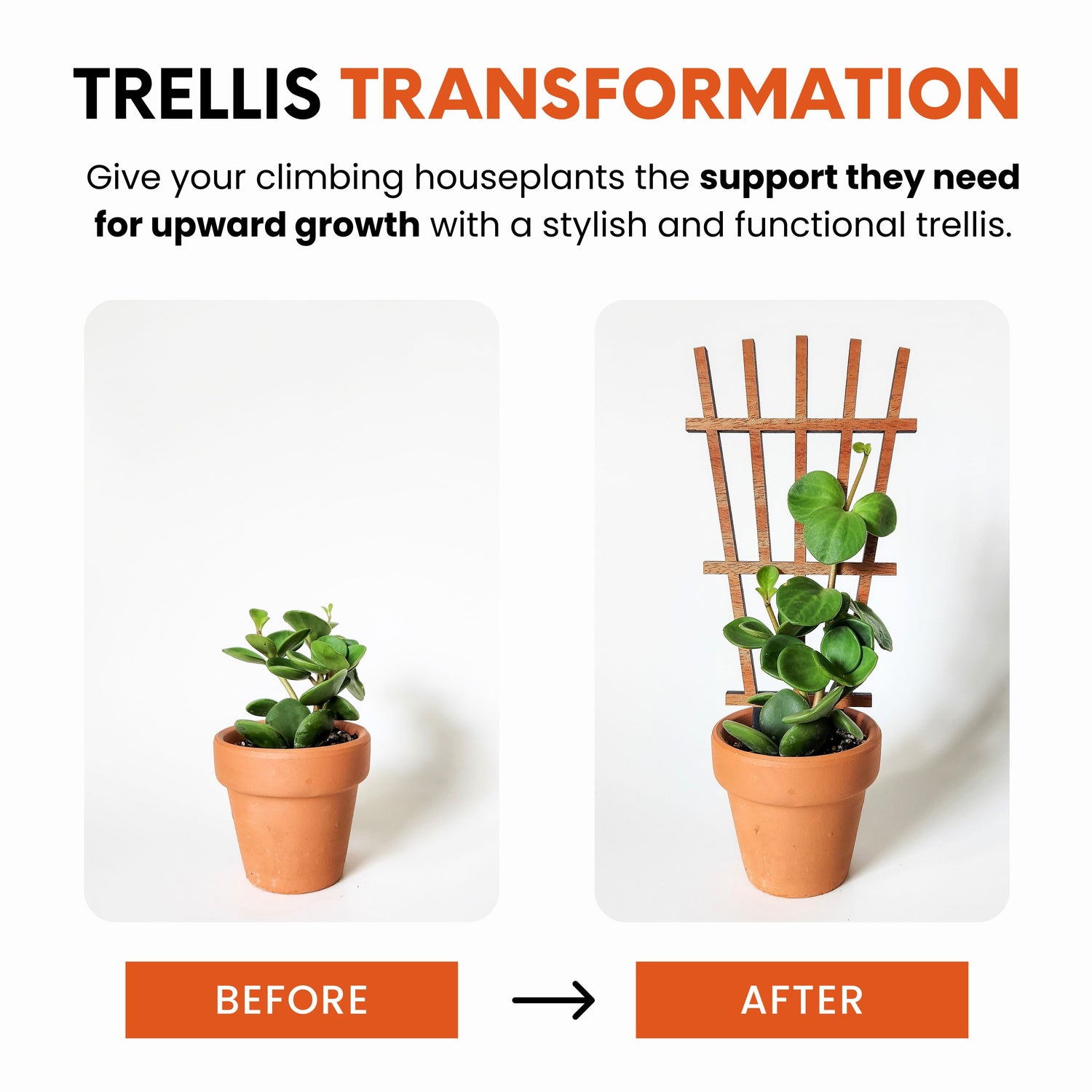 plants that need a trellis Garden Style Indoor Houseplant Trellis (Wood)