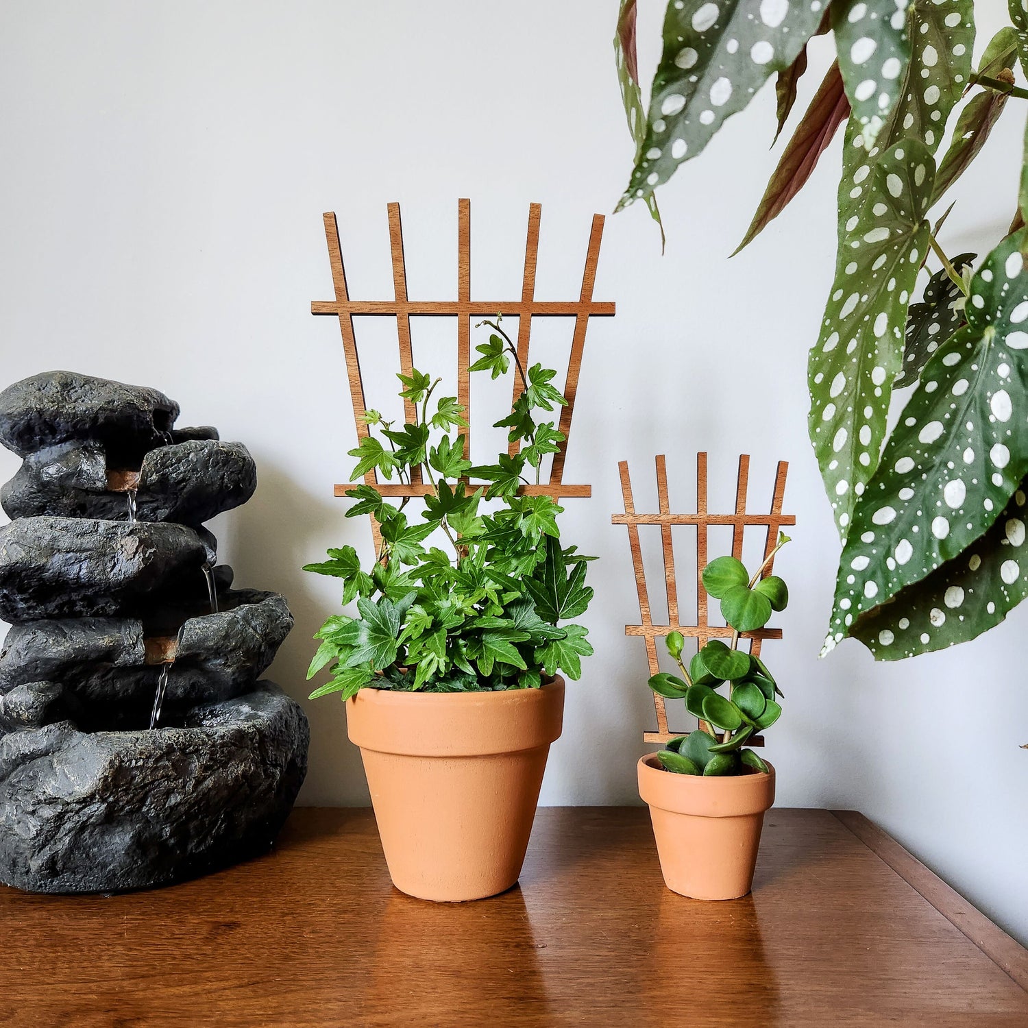 small plant trellis for pots Indoor Plant Trellis – Garden Style Design – Plant Décor & Gift Shop – Leaf & Node