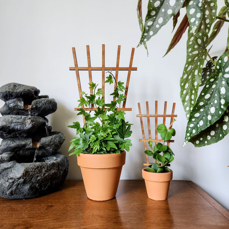 Two wood garden style indoor plant trellises in clay pots with small houseplants.