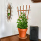 Indoor wood garden style houseplant trellis in a clay pot with ivy plant.