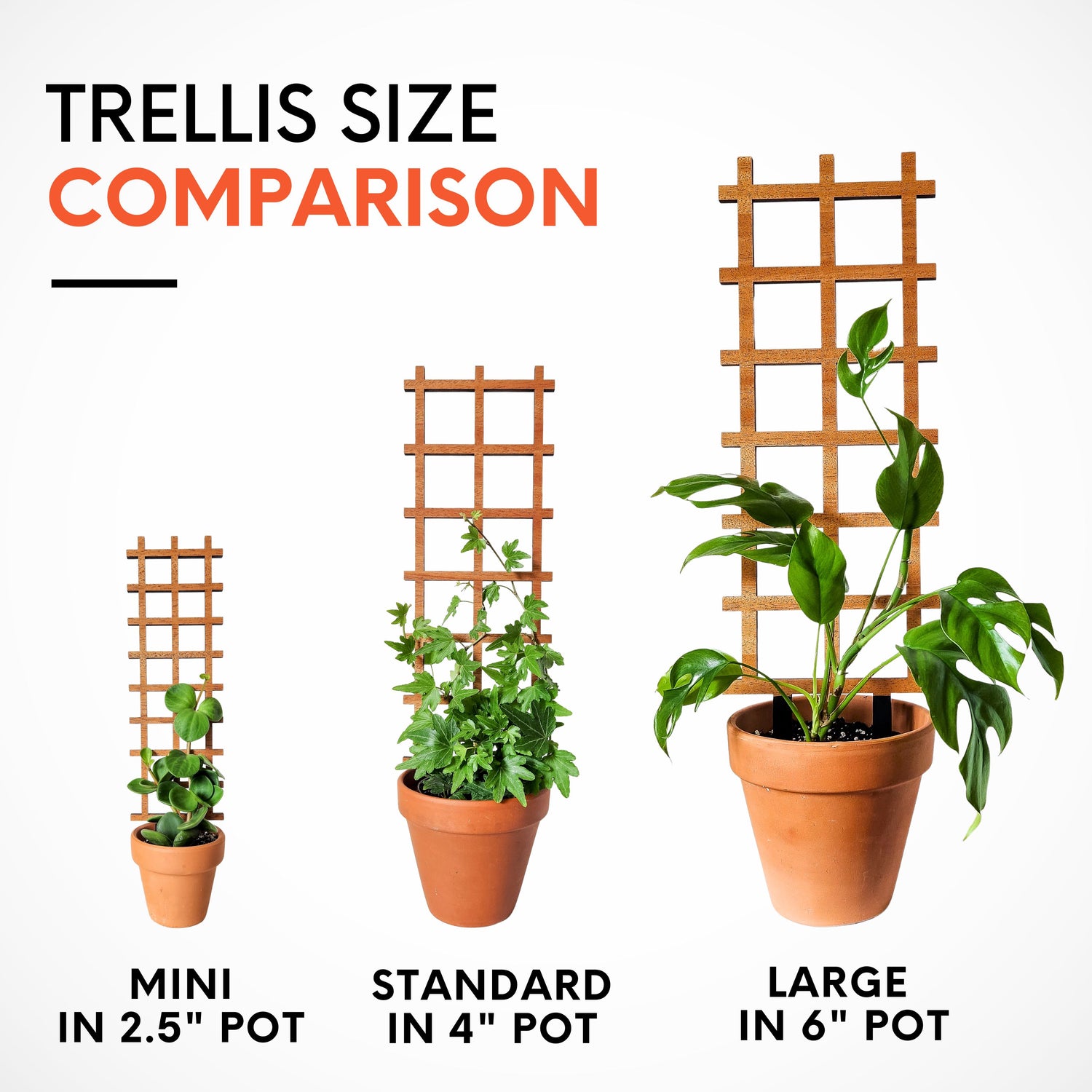 pots for climbing plants Ladder Indoor Houseplant Trellis (Wood)
