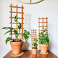Ladder Indoor Houseplant Trellis (Wood)