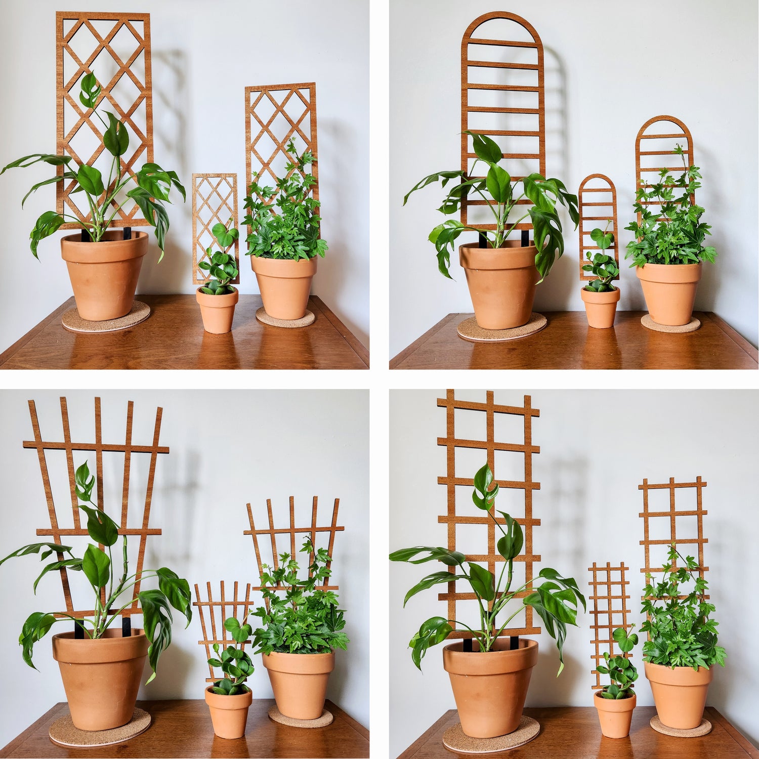 lattice for potted plants Indoor Plant Trellis – Lattice Garden Design – Plant Décor & Gift Shop Standard (best for 4-5 inch pots)