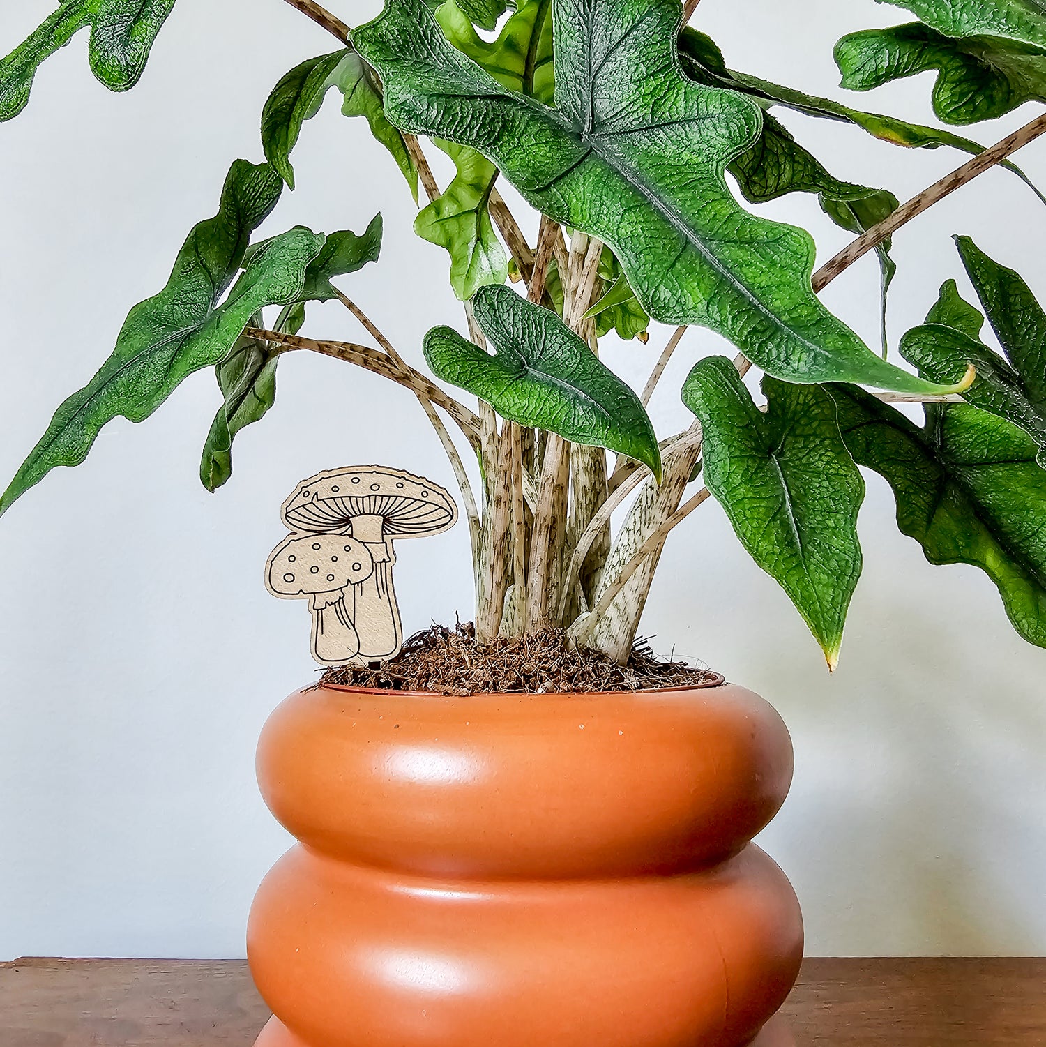 mushroom indoor plant Amanita Mushroom Pair Indoor Plant Accessory