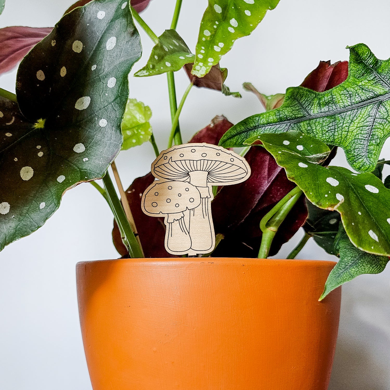 mushroom indoor plant Mushroom Pair Indoor Plant Accessory Stake