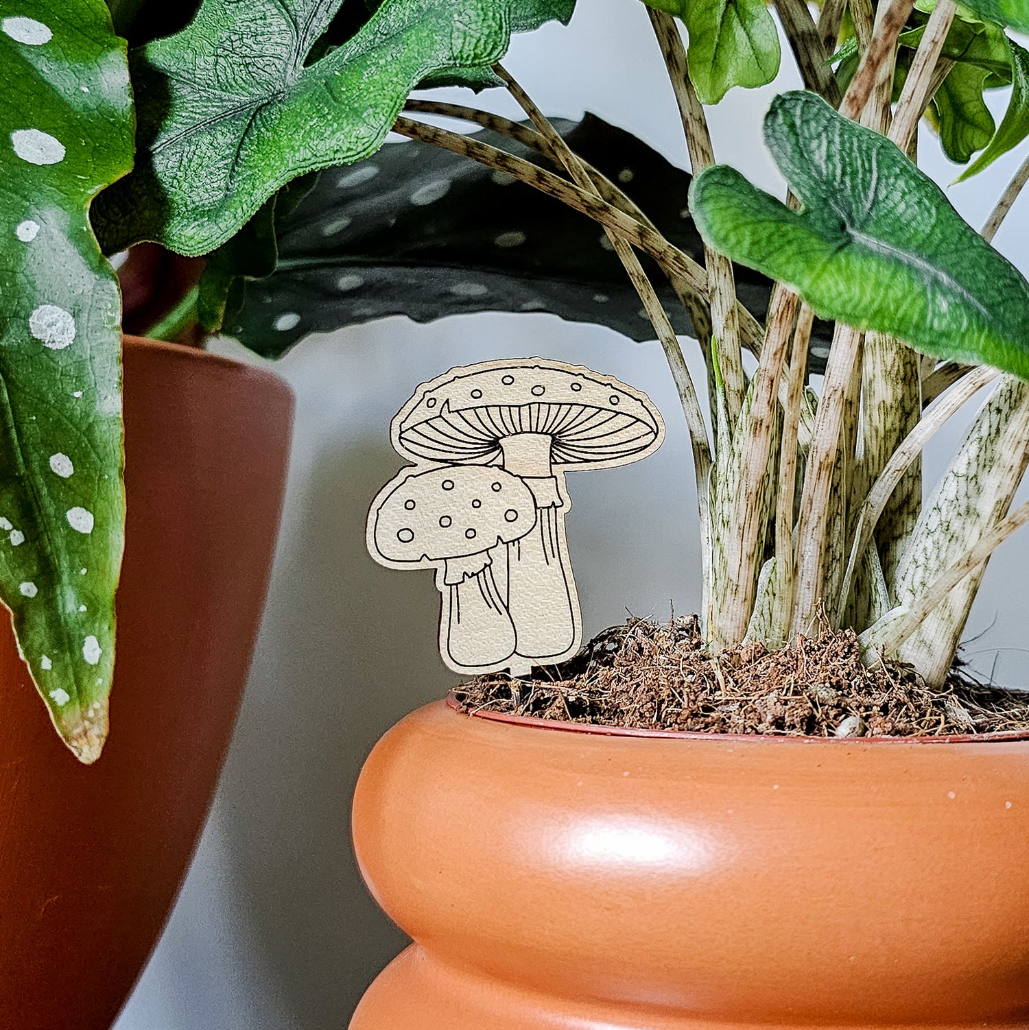 Amanita mushroom wooden houseplant accessory stake to decorate pots of indoor plants.